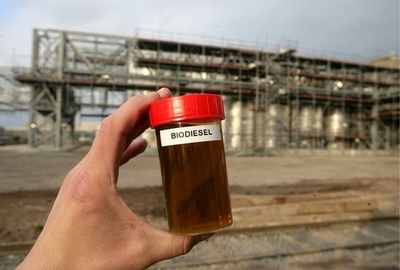 大腸菌から作ったバクテリア、安価なグリーンエネルギー供給源として期待