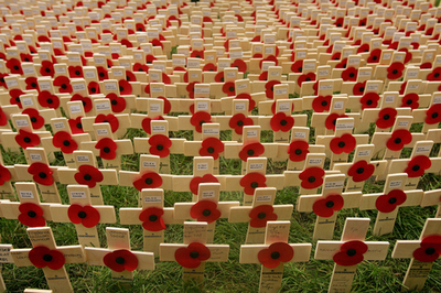 英国、ウェストミンスター寺院で戦没者を追悼する十字架が並べられる