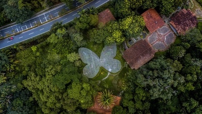 植物園を守る外出制限の日々、コロナ禍でも夢失わず コロンビア