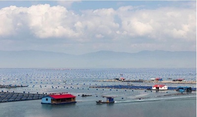 生態資源が田舎を豊かにする 中国