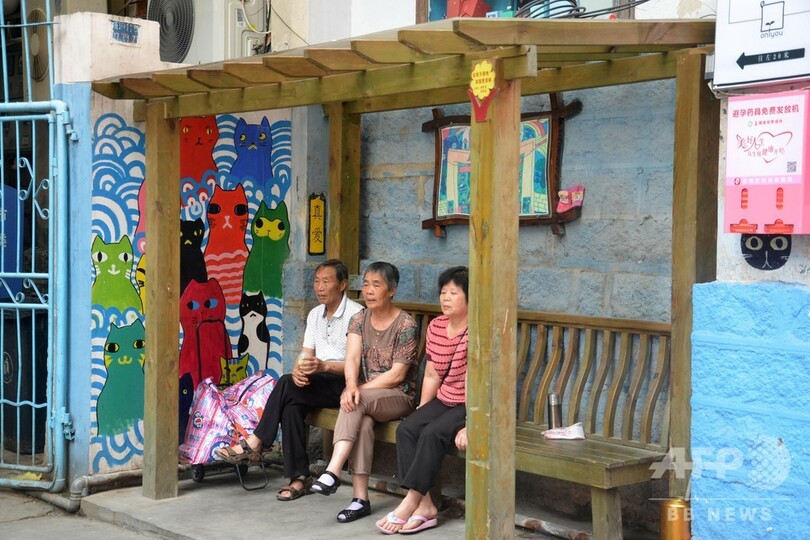 アモイの「猫街」へいらっしゃい