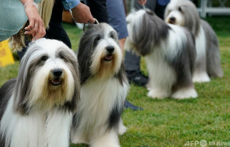 【今日の1枚】そっくりさん勢ぞろい