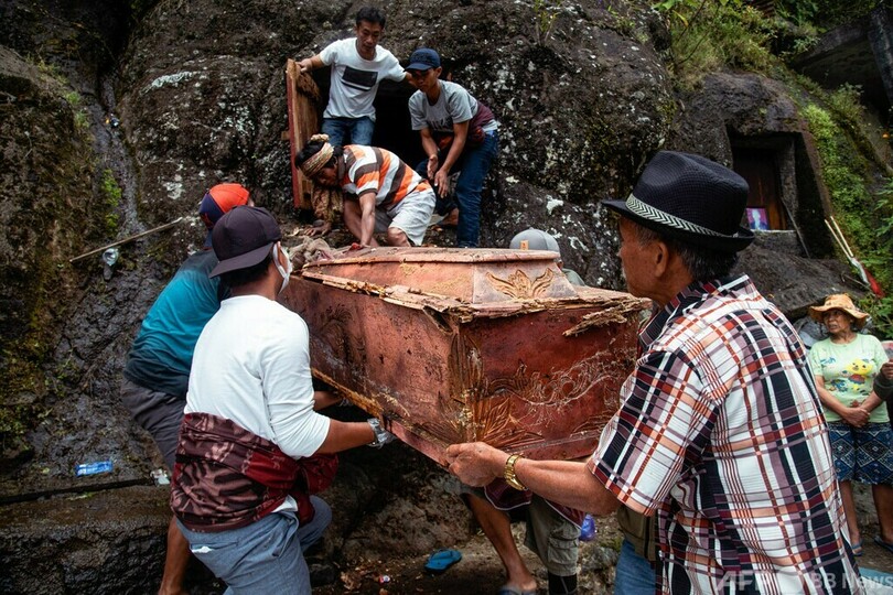 インドネシアの「マネネ」 先祖のミイラ清める伝統儀式