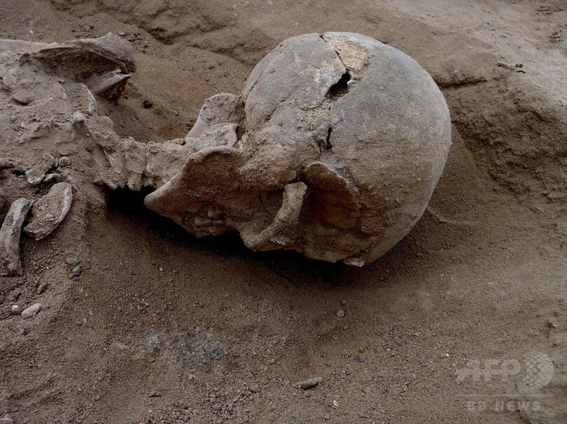 1万年前の人骨に 集団虐殺 の痕跡 研究で解明 写真5枚 国際ニュース Afpbb News