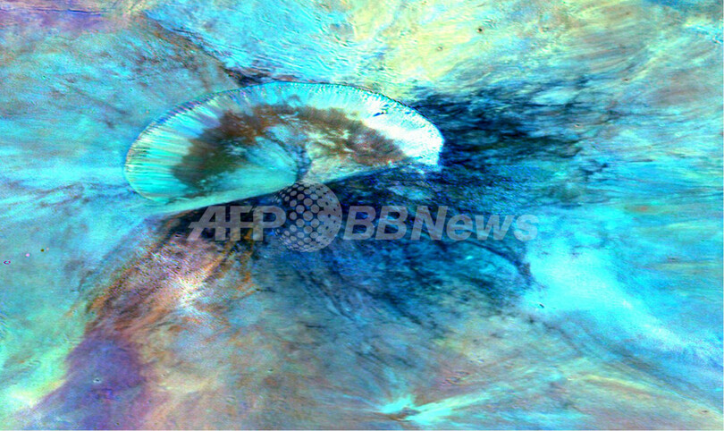 無人探査機のデータで描く小惑星ベスタの素顔 写真3枚 国際ニュース Afpbb News
