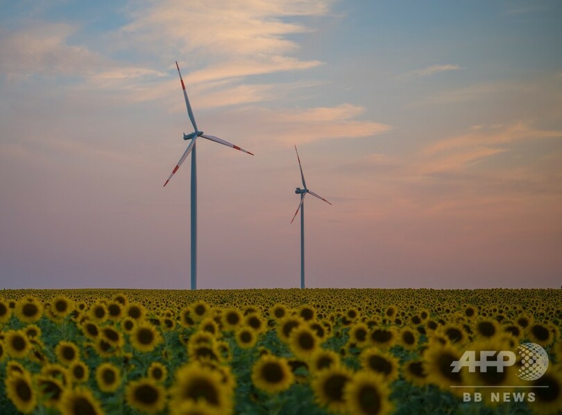 EU、再生エネが最大の発電源に 化石燃料上回る