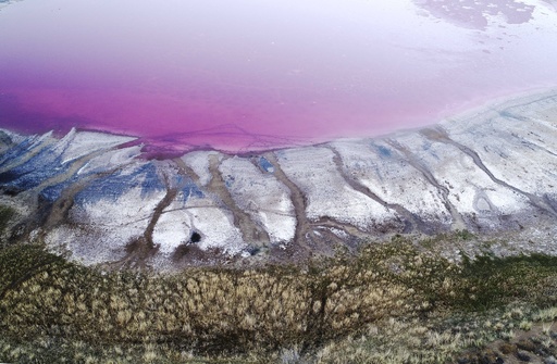 砂漠に輝く宝石のよう ピンク色の湖 中国 内モンゴル 写真6枚 国際ニュース Afpbb News