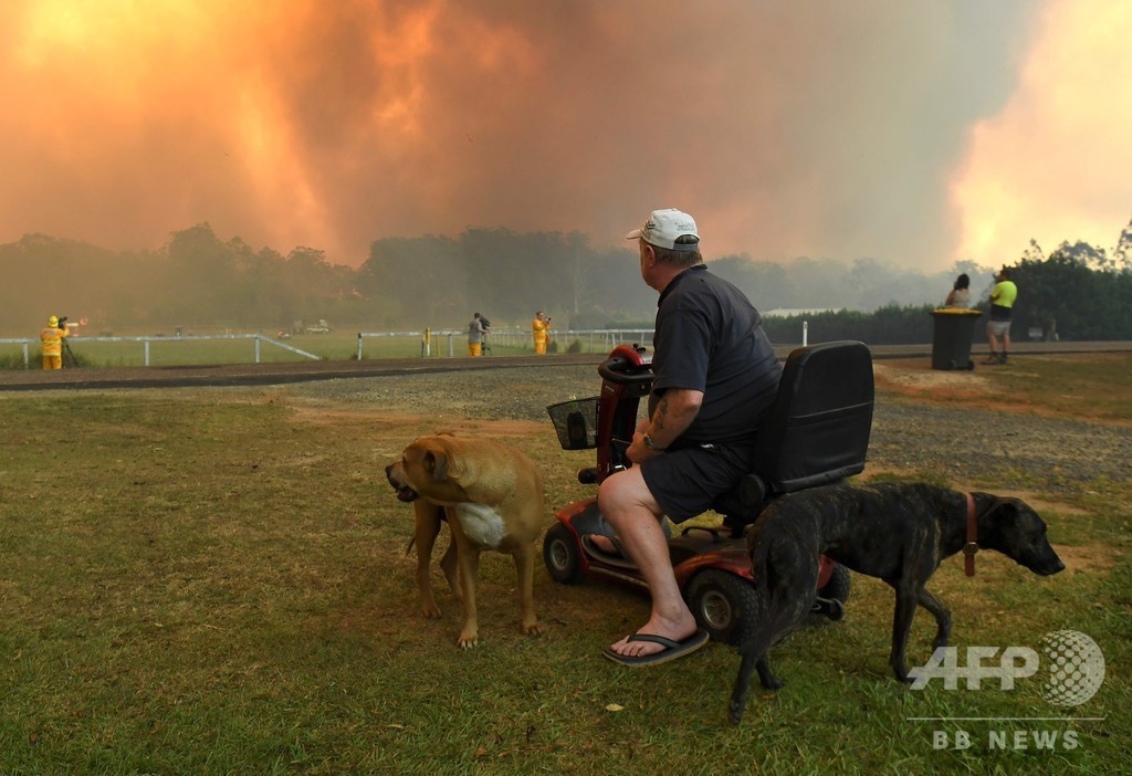 豪東部の森林火災、シドニー中心部から15キロ以内に迫る