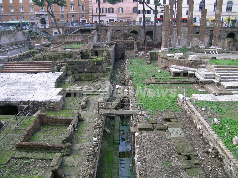 カエサルの暗殺地点を 特定 スペイン考古学チーム 写真2枚 国際ニュース Afpbb News
