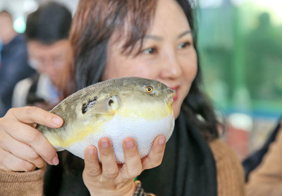 「フグを食べ、豪華な家に住み、海安で遊ぶ」で人気の街 江蘇省