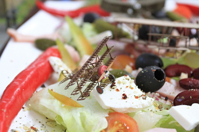 プラモデルの祭典「モデルブルノ」開催、チェコ