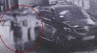 「見かけなくなった猫は…」韓国・住民の通報で発覚した悲劇の真相