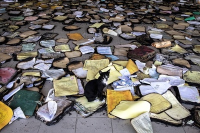 【今日の1枚】文書を守るはネコの務め？ セネガル