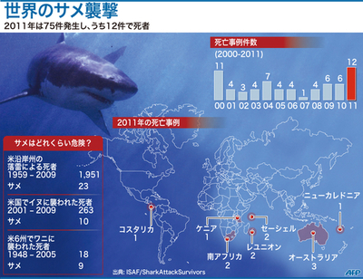 【図解】世界のサメ襲撃件数
