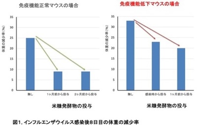 【中部大学】米糠発酵物がインフルエンザの補完療法に役立つ可能性を動物実験で解明ー体重減少の抑制、肺内ウイルス量減少、抗体増加を確認ー