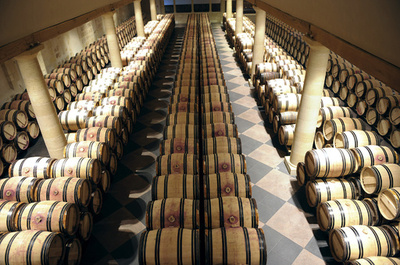 ワインをまろやかにする乳酸菌の研究進む