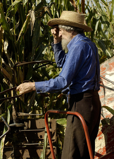 アーミッシュに寿命10年延ばす遺伝子変異 東北大などのチームが発見