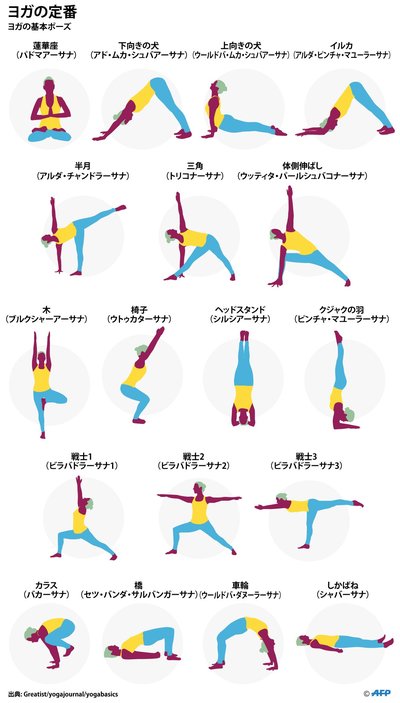 【動く図解】ヨガの定番ポーズ