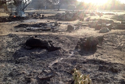 カメルーン軍、ボコ・ハラムの86人を殺害 1000人以上拘束