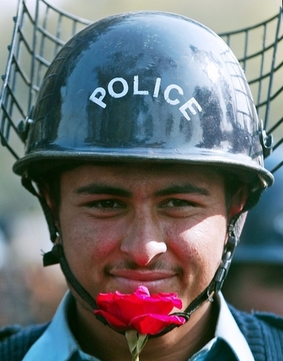 植物の尊厳を認める報告書、スイスで