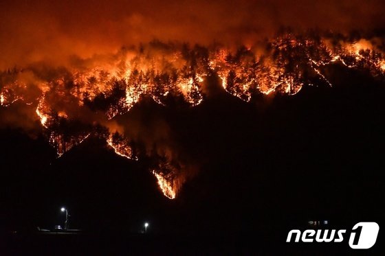 江原道三陟での山火事の様子（三陟市提供）(c)news1