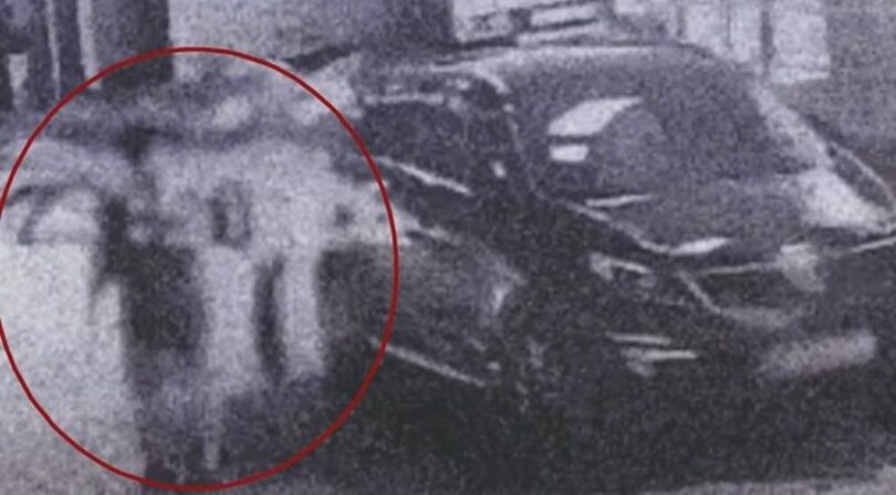 動物自由連帯提供(c)NEWSIS