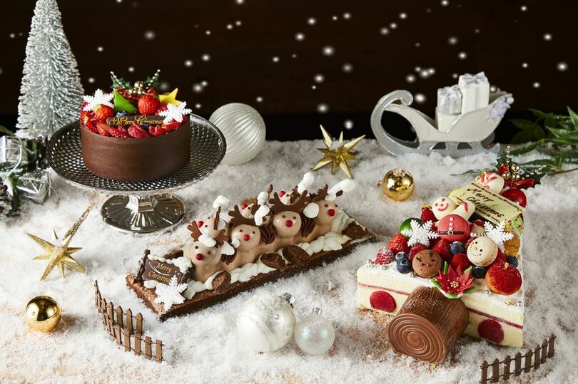 ハイアット リージェンシー 東京のクリスマスケーキ 大好評の体験型ケーキ Diyクリスマスケーキ に2種の新作が登場 写真1枚 国際ニュース Afpbb News