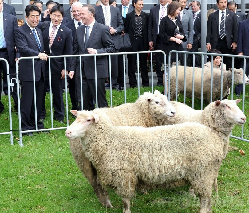 安倍首相がNZ首相と会談、捕鯨めぐり「見解の相違を確認」