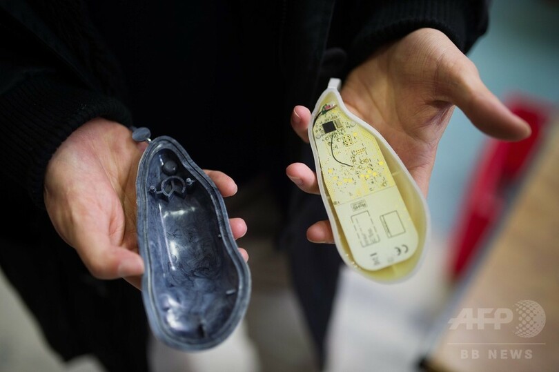 養殖カキの盗難対策、新兵器は「カキ型監視装置」 仏