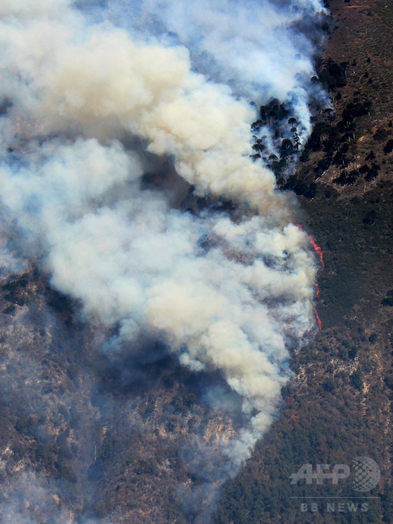 チリ大規模山火事 固有の動植物にも脅威 写真8枚 国際ニュース Afpbb News