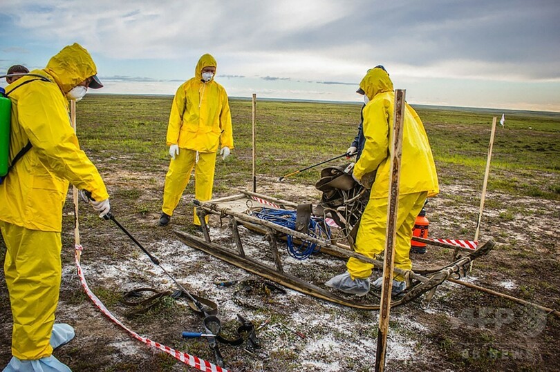 解ける永久凍土と目覚める病原体、ロシア北部の炭疽集団発生