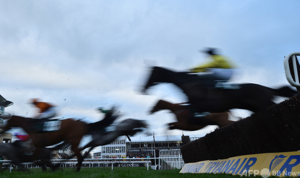 英競馬で7頭中6頭失格の珍事、分かりにくい指示が混乱招く 英競馬で7頭中6頭失格の珍事、分かりにくい指示が混乱招く