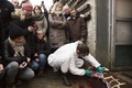 デンマークのコペンハーゲン動物園（Copenhagen Zoo）で、近親交配を防ぐために殺処分されたキリンのマリウスの死骸を検視する獣医師（2014年2月9日撮影）。(c)AFP/SCANPIX DENMARK/KASPER PALSNOV