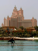 アラブ首長国連邦ドバイ（Dubai）の人工島「パームジュメイラ（Palm Jumeirah）」に開発された超大型リゾート・ホテル「アトランティス（Atlantis）」内にある、イルカの保護センター（2008年7月1日撮影）。(c)AFP/MARWAN NAAMANI