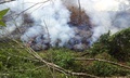 米ハワイ（Hawaii）州ハワイ島のパホア（Pahoa）近くを進むキラウエア（Kilauea）火山から流れ出た溶岩。米地質調査所（US Geological Survey、USGS）提供（2014年10月27日撮影）。(c)AFP/HANDOUT/US Geological Survey