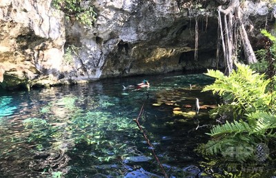 観光客に大人気、メキシコのトゥルム国立公園