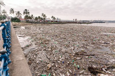 プラごみ輸出を制限、バーゼル条約改正案に180か国が合意 ジュネーブ