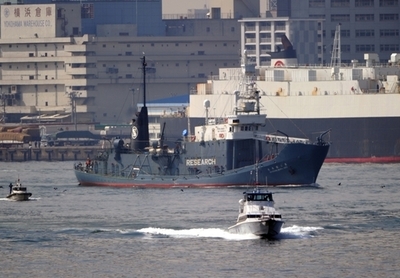 捕鯨監視船に侵入の活動家3人、豪政府に引渡しへ 立件せず