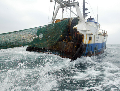 漁船の網に航空機、機内には遺体 ニュージーランド