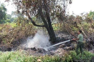 スマトラ島火災、 人工降雨で鎮火へ