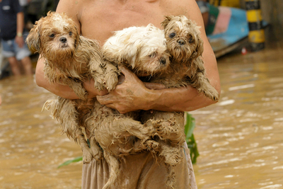 フィリピン、台風16号による死者73人に