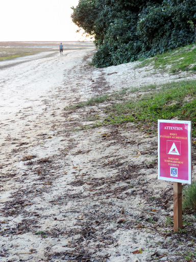 サメに襲われ漁師死亡 ニューカレドニア