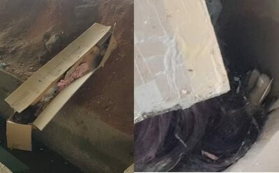 韓国・インターチェンジ付近に放置の箱、中に「髪の毛と胴体」のようなもの…よく見たらリアルな人形というお騒がせ