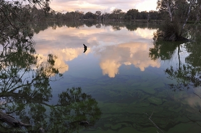 豪重要河川が水不足、政府の対策案に農業団体反発