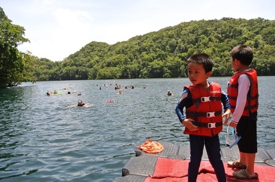 人気観光地のクラゲ激減 パラオ