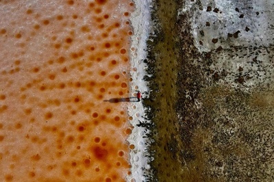 ピンクの塩田、台南に出現 日照り続きで