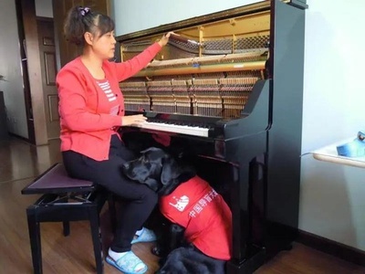 ありがとう！ 盲導犬ジェニーに別れ 中国