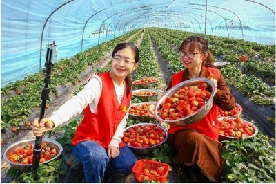 中国各地で行われる農村Eコマース推進の取り組み