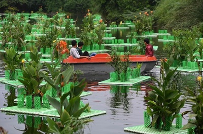 植物の力で池をきれいに、インド・ニューデリー