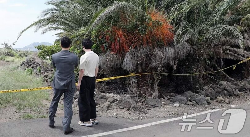 警察が失踪届を虚偽の内容で終結させた事件で、死亡した30代女性の遺族と弁護士が遺体の見つかった済州市翰林邑のヤシ畑を確認している＝2026年9月4日(c)news1